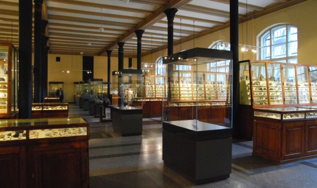 Музей естественной истории (Museum für Naturkunde)