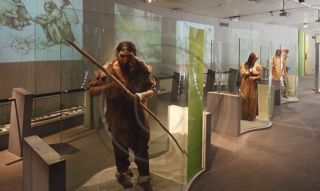 Неандерталь (Neanderthal-Museum)
