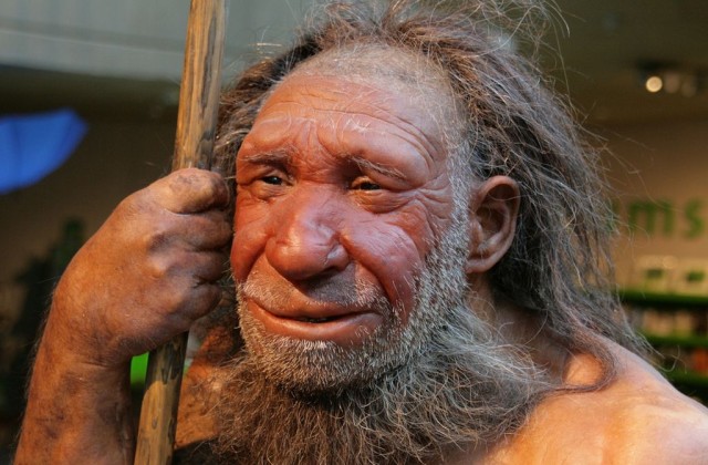  Неандерталь (Neanderthal Museum) 