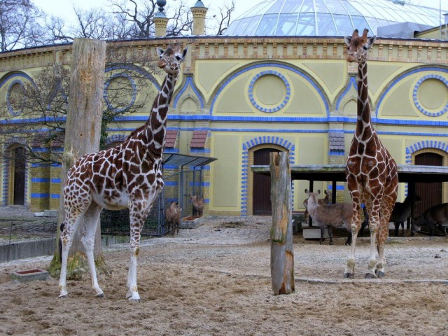 Берлинский зоопарк (Zoologischer Garten Berlin)