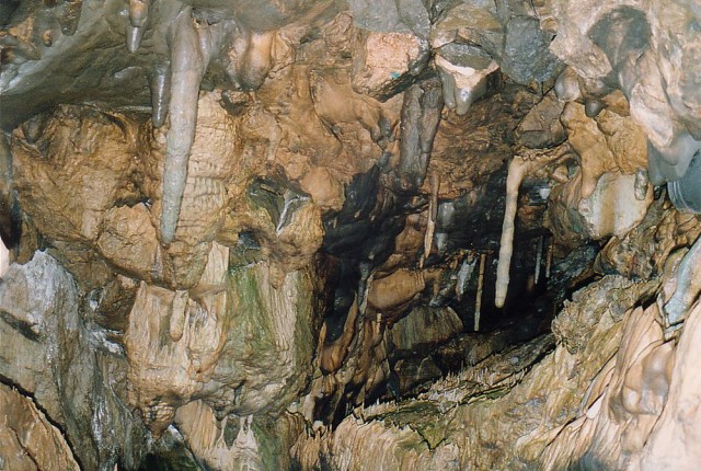 Бауманская пещера или пещера Baumanns (Baumannshöhle)