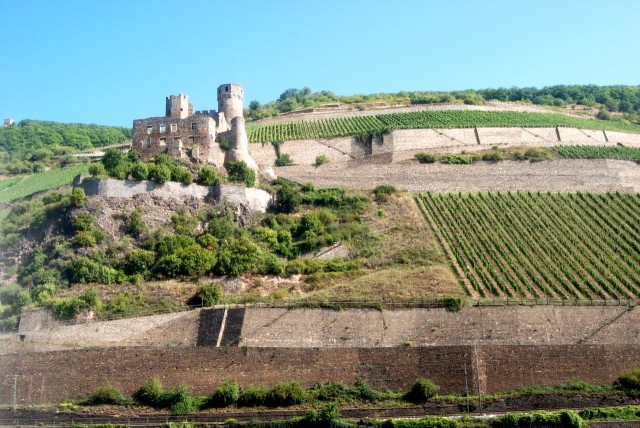 Развалины крепости Эренфельз (Burg Ehrenfels)