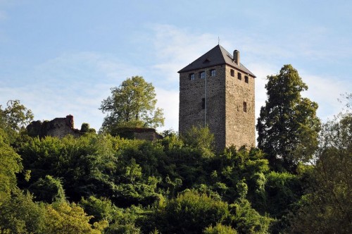 Крепость  Сайн (Burg Sayn)