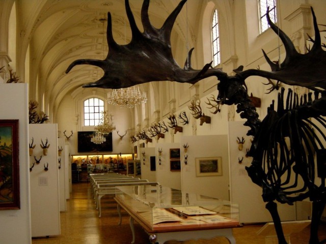 Немецкий музей охоты и рыболовства (Deutsches Jagd- und Fischereimuseum)