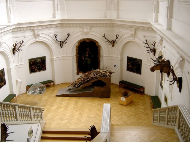 Немецкий музей охоты и рыболовства (Deutsches Jagd- und Fischereimuseum)