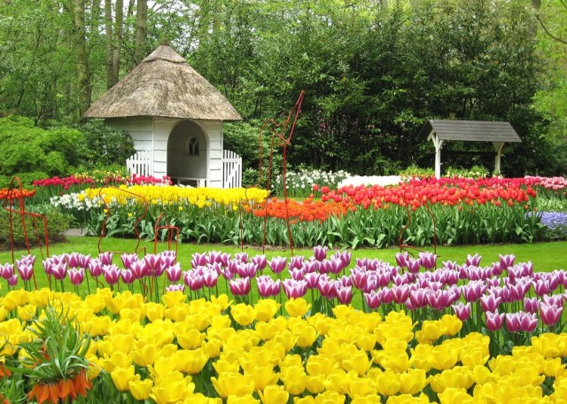 Королевский парк цветов Кёкенхоф 