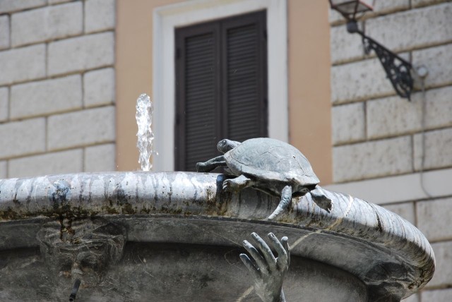 Фонтан Черепах (Fontana della Tartarughe)