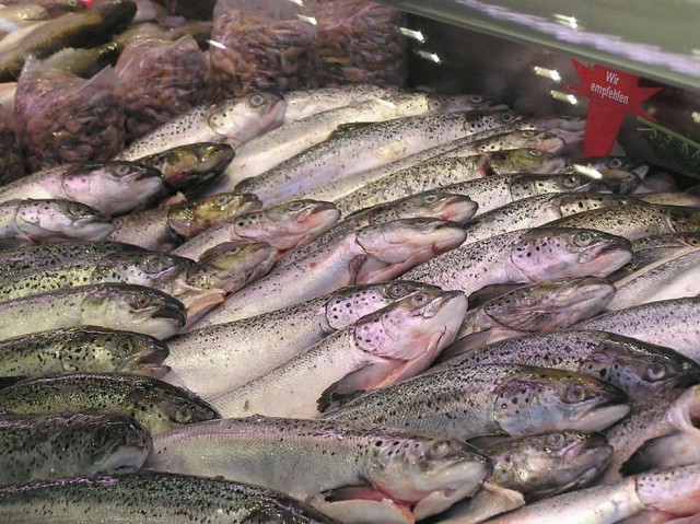 Рыбный рынок (Fischmarkt)