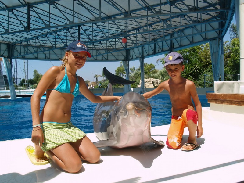 В аквапарке Zoomarine можно сфотографироваться с настоящим дельфином