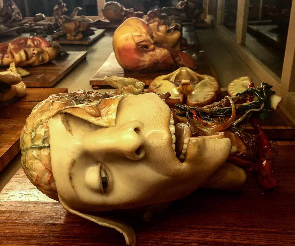 Анатомический музей восковых фигур Луиджи Каттанео (Museo delle Cere anatomiche «Luigi Cattaneo»)