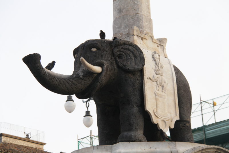 Черный слон - символ Катании
